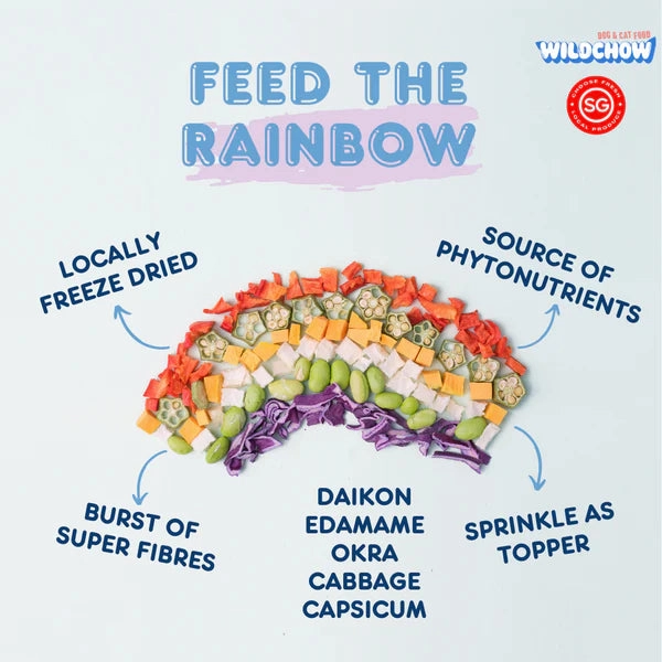 WildChow Freeze Dried Dog Treats (Garden Rainbow Vegetable Mix)