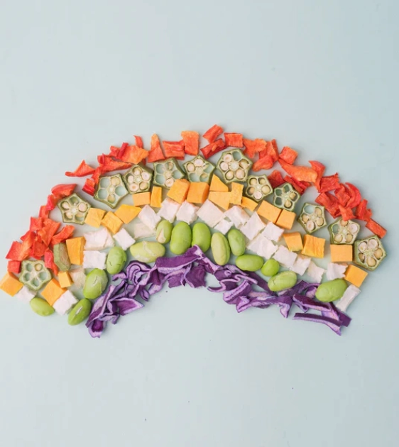 WildChow Freeze Dried Dog Treats (Garden Rainbow Vegetable Mix)