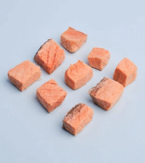 WildChow Freeze Dried Dog Treats (Salmon Bites) freeze-dried dog food,lightweight pet food