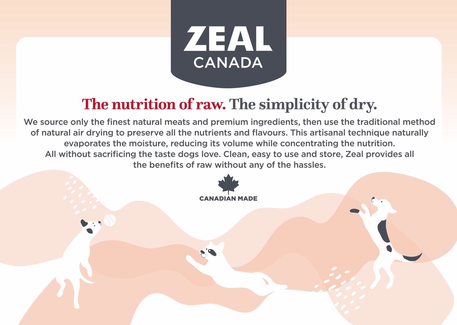 Zeal Canada Gently Air-Dried Dry Dog Food (Beef Recipe)