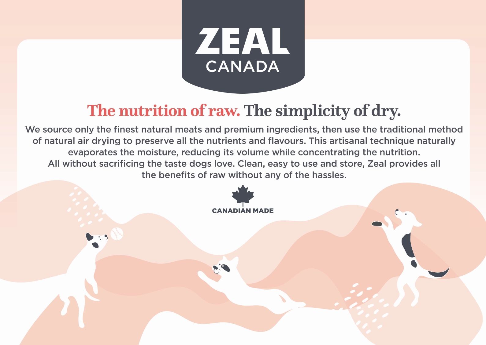 Zeal Canada Gently Air-Dried Dry Dog Food (Salmon Recipe)