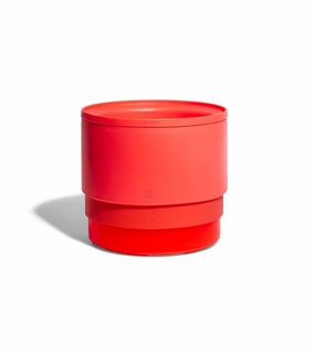 Zee.Dog Adjustable Coral Dog Bowl dog bowl,pet feeder