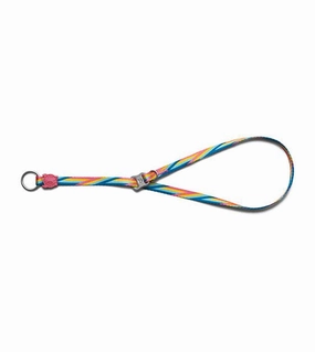 Zee.Dog Bowie Obedience Dog Collar dog charms,dog ID