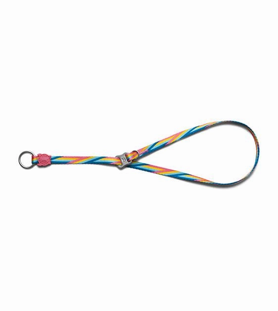 Zee.Dog Bowie Obedience Dog Collar dog charms,dog ID