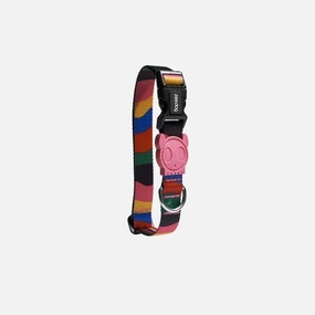 Zee.Dog Chroma Dog Collar dog charms,dog ID