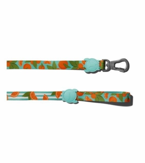 Zee.Dog Florida Dog Leash dog joint care,hip support