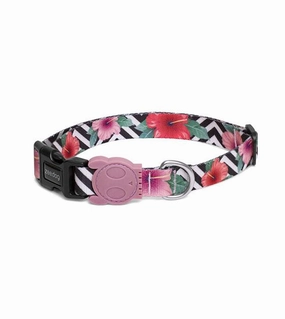 Zee.Dog Mahalo Dog Collar dog charms,dog ID