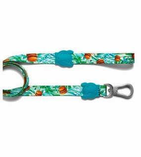 Zee.Dog McZee Dog Leash dog joint care,hip support