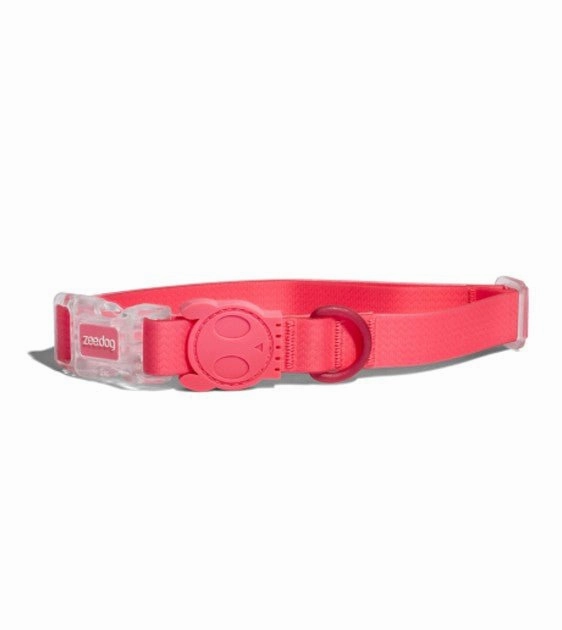 Zee.Dog Neopro Bubblegum Dog Collar dog charms,dog ID
