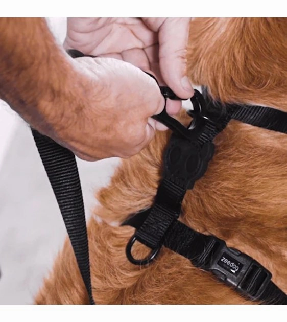Zee.Dog NeoPro? Lime Dog H-Harness