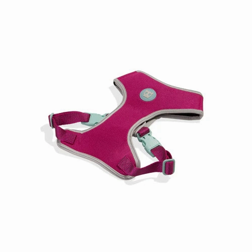 Zee.Dog Nox Adjustable Air Mesh Harness for Dogs (Sidus)