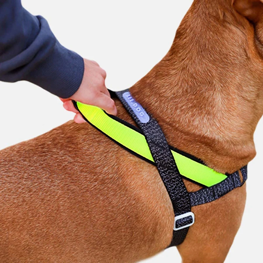 Zee.Dog Reflective Soft-Walk No-Pull Dog Harness (NOX)