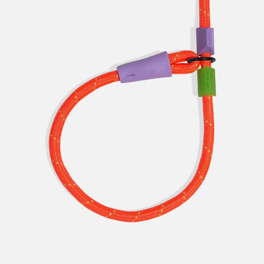 Zee.Dog Slip-N-Lock Adjustable Dog Rope Leash (Everest)