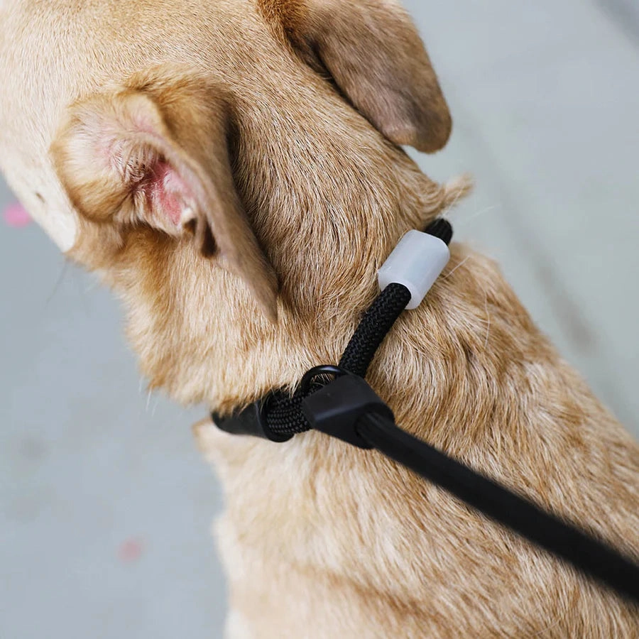 Zee.Dog Slip-N-Lock Adjustable Dog Rope Leash (Gotham)