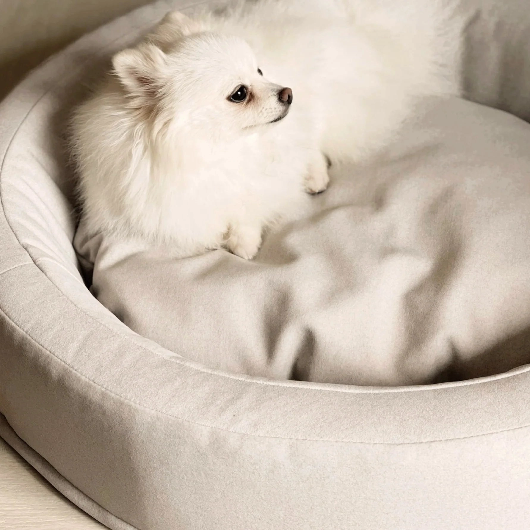 Zest Livings Bespoke Crafted Bed For Dogs & Cats (Nest)