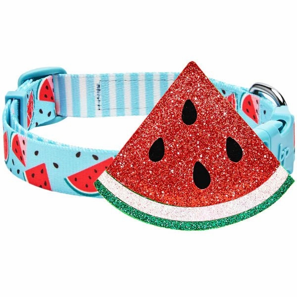 Zesty Fruit Dog Collar- Watermelon