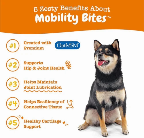 Zesty Paws Hip & Joint Bites Mobility Supplements for Dogs (Bacon Flavour)