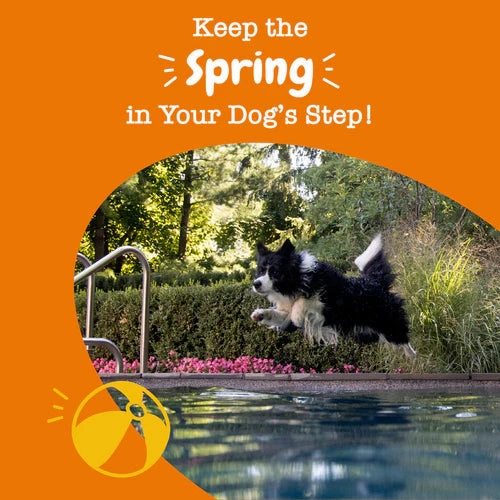 Zesty Paws Hip & Joint Bites Mobility Supplements for Dogs (Bacon Flavour)