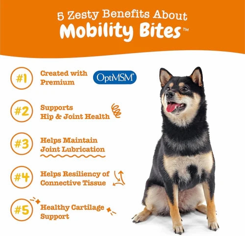 Zesty Paws Hip & Joint Bites Mobility Supplements for Dogs (Bacon Flavour)